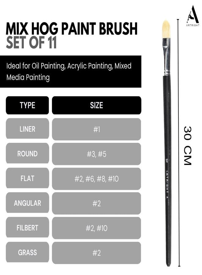 ArtRight Flat Hog Hair Mix Paintbrush Set 11pcs, Professional Long Handle Brushes for Oil, Watercolour, Acrylic, Natural Hair Brush, Wooden Handle, Synthetic Bristle, Ideal for Mixed Media Painting - Image 3